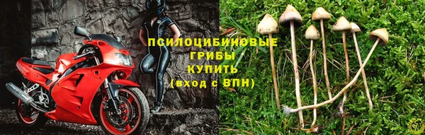 первитин Богданович