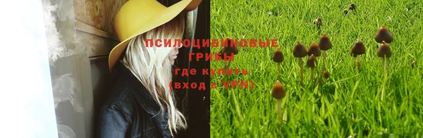 каннабис Богородск