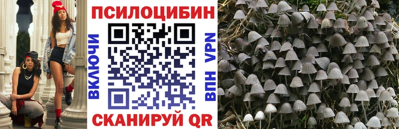 Галлюциногенные грибы Psilocybine cubensis  цена наркотик  Электроугли 